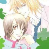  ����� Akashiro Tamago <small>Story & Art</small> 